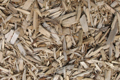 biomass boilers Oak Cross